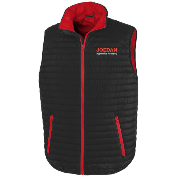Joedan Apprentice - Result Genuine Recycled Thermoquilt Gilet Thumbnail